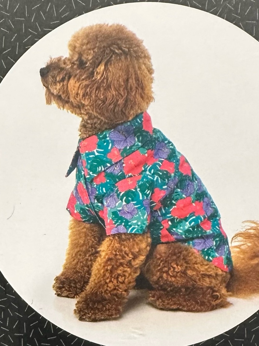 NEW Fuzzyard Pet Apparel Hawaiian Aloha Shirt Size 5 (17.7” to 18.3” length)